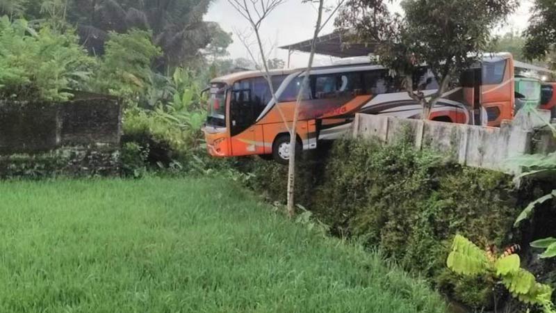 Bus Handoyo Hampir Masuk Sawah di Ajibarang