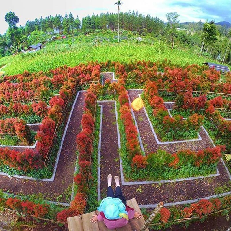 Sensasi Taman Labirin di Rest Area Lembah Asri Serang