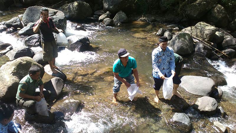 20 Ribu Ikan Ditebar di Danau Kumpe Cilongok Banyumas