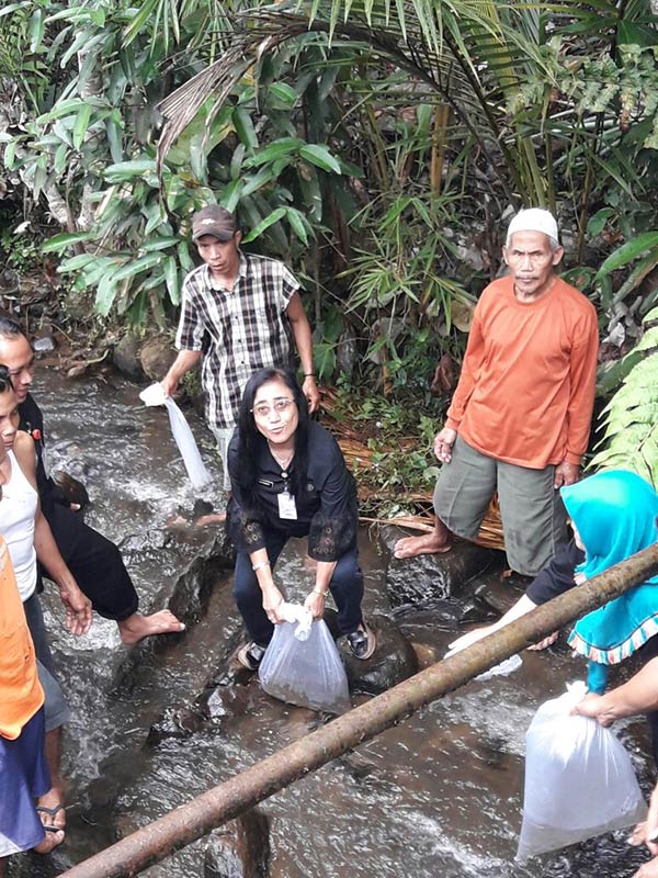 40 Ribu Benih Ikan Ditebar di Sungai Mengaji