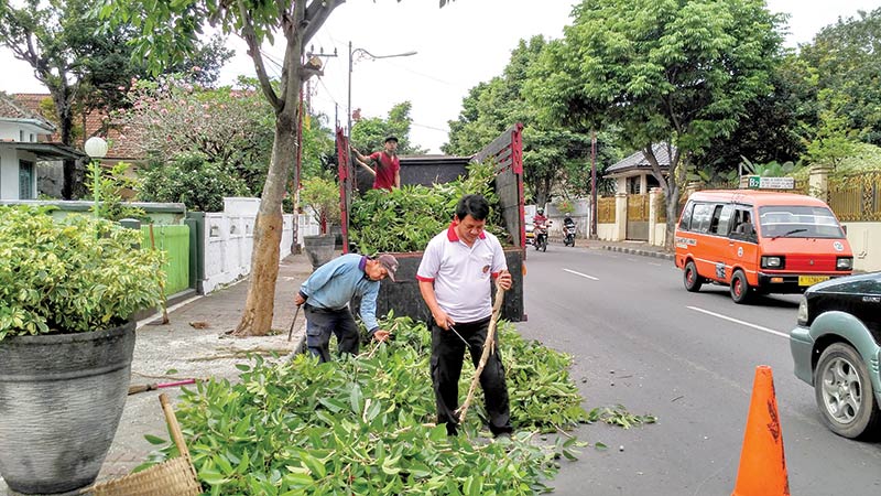 Bahayakan Pengguna Jalan, Puluhan Pohon di Gatsu Dipangkas