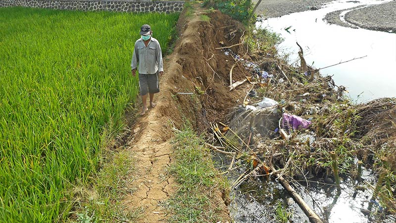 Erosi Sungai Ancam Sawah Petani Gumelar