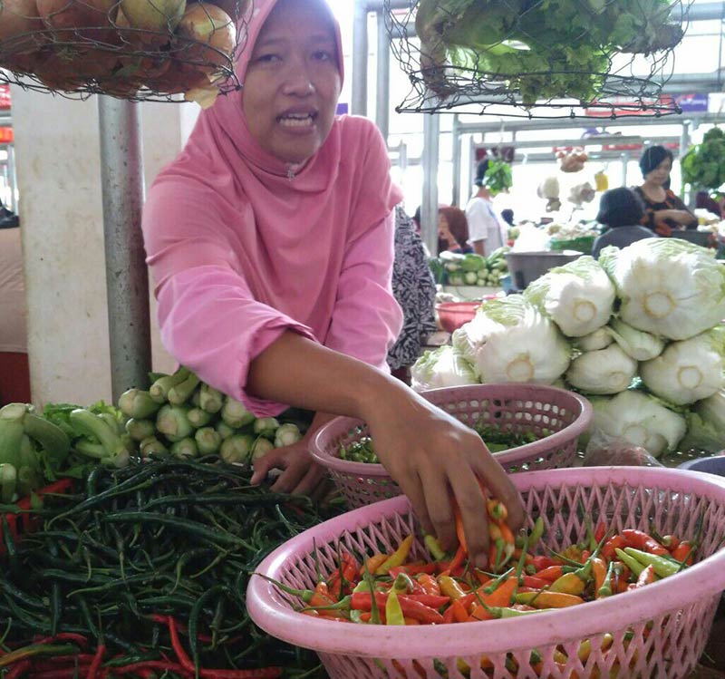 Harga Cabai Rawit Turun