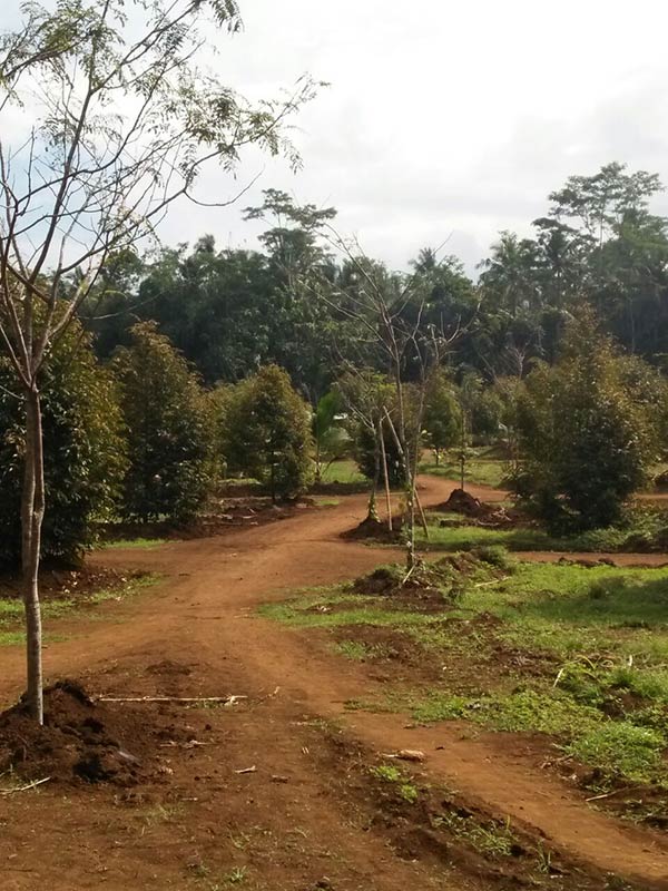 Warga Kawal Pengelolaan Agro Wisata Langgongsari