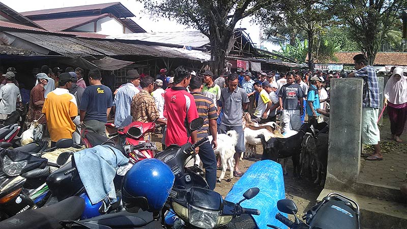 Jelang Idul Adha, Pasar Hewan Kurban Masih Lesu