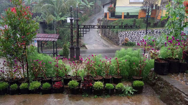 Warga Kaliunjar Tanam Seribu Bunga