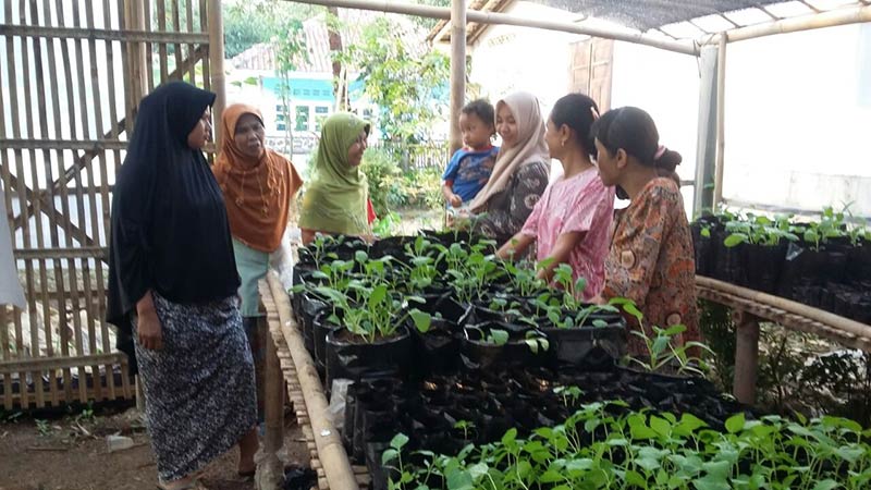 Desa Pagak Buat Rumah Pembibitan Organik