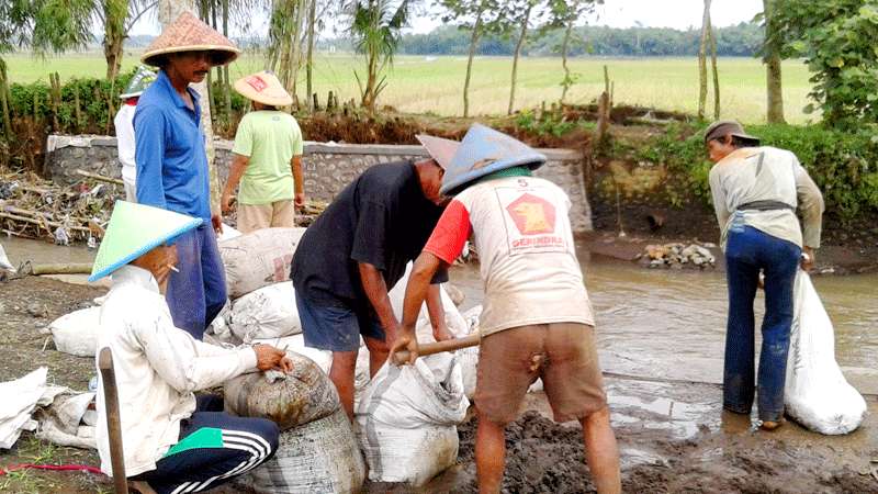 Desa Rabak, Kecamatan Kalimanah-Lumbung Padinya Kalimanah Selatan