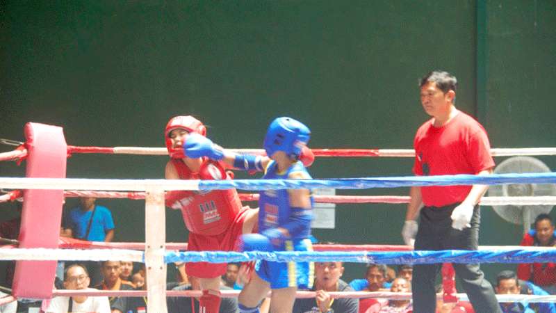 14 Atlet Muaythai Purbalingga Lolos Porprov