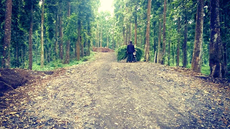 Jalan Tembus Karangjengkol-Serang Bisa Dilewati