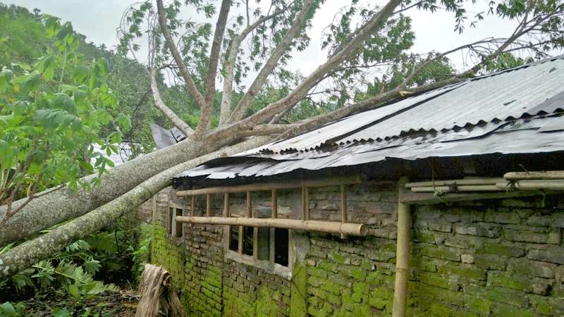 Lima Rumah Rusak Tertimpa Pohon