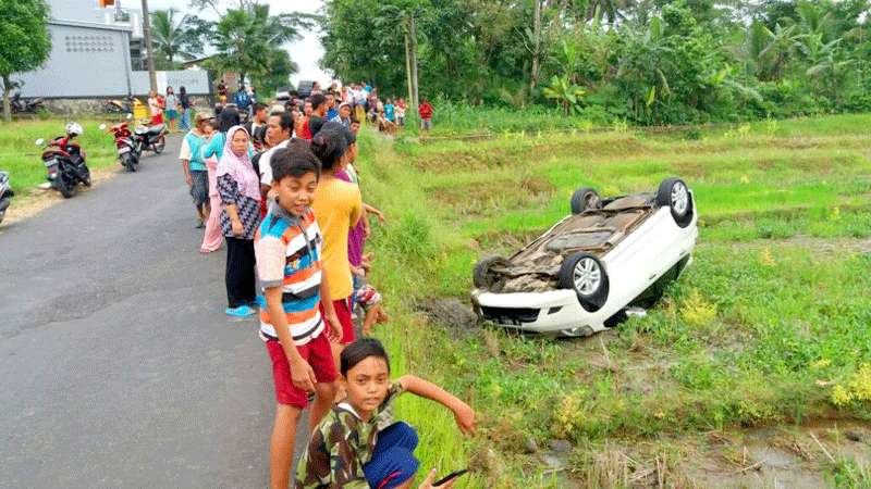 Mobil Terguling Masuk Sawah