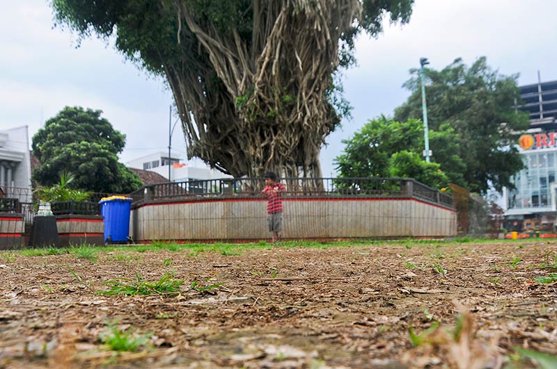 Rumput Alun-Alun Purwokerto Rusak