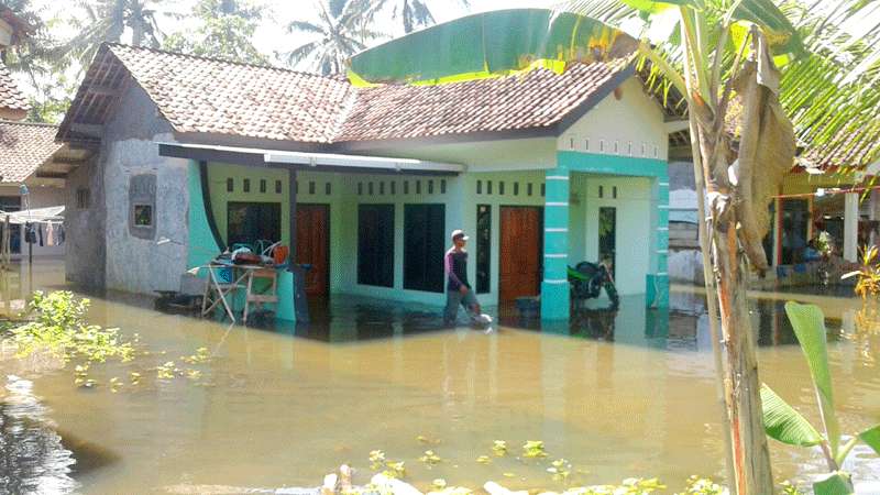 Genangan Air di Desa Tarisi Kecamatan Wanareja Tambah Tinggi