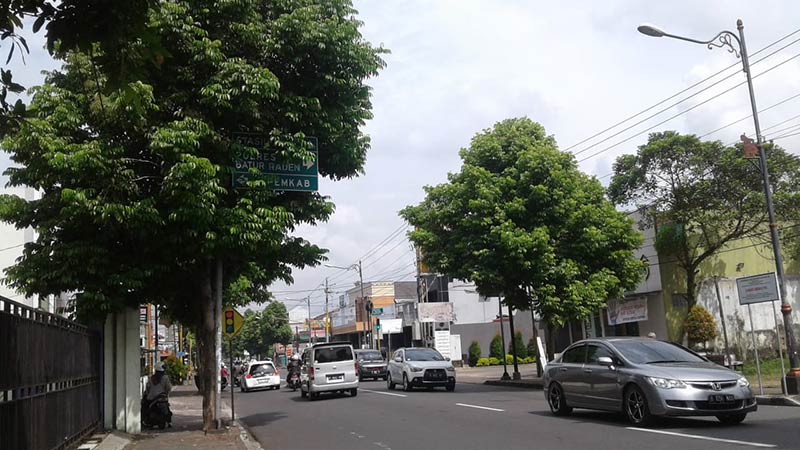 Tertutup Pohon Rambu Penunjuk Arah Hampir tak Terlihat