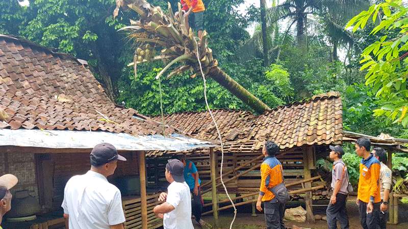 Angin Kencang Landa Desa Larangan Kecamatan Pengadegan