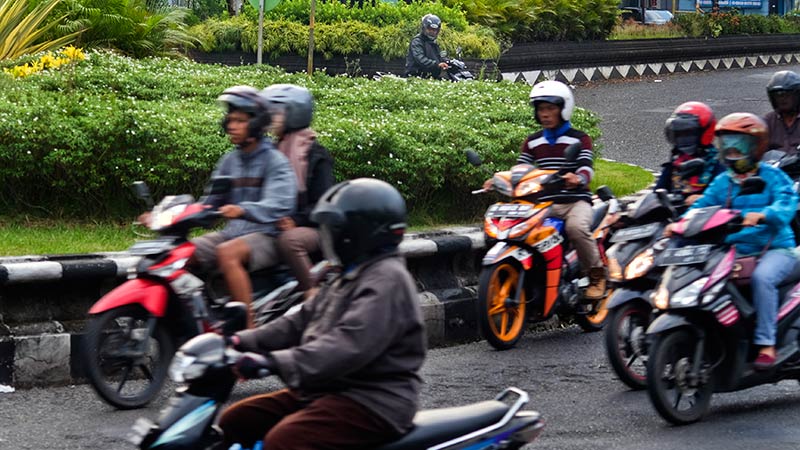 Makin Tinggi, Tanaman Hias Bundaran RS Margono Halangi Pandangan