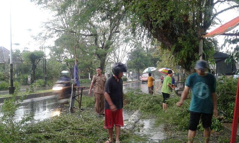 Bahayakan Pengguna Jalan, Petugas DLH Pangkas Pohon di Tengah Hujan