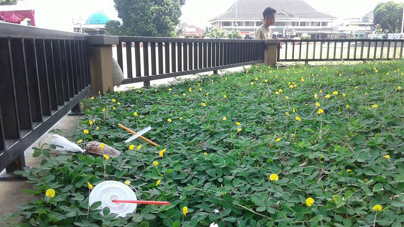 Sampah Car Free Day Berserakan, Pot Pohon Beringin Alun-Alun Purwokerto Jadi Tempat Sampah