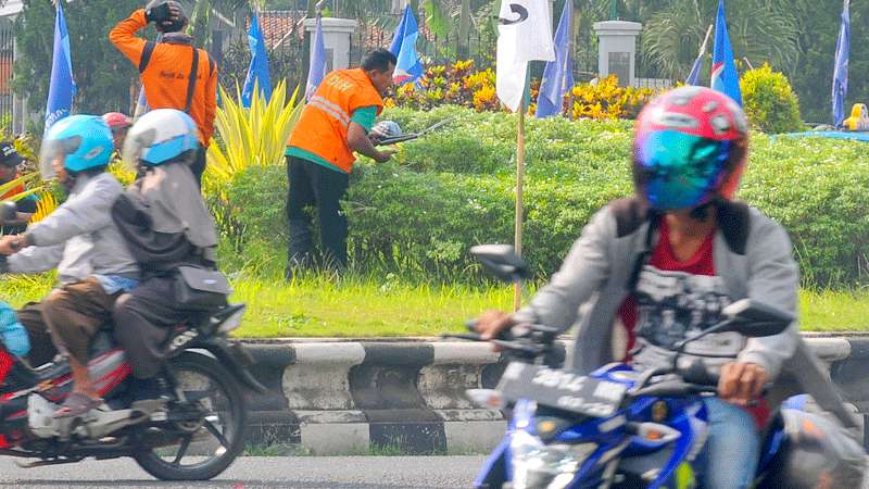 Tim Pemangkas Sisir Utara dan Selatan Kota