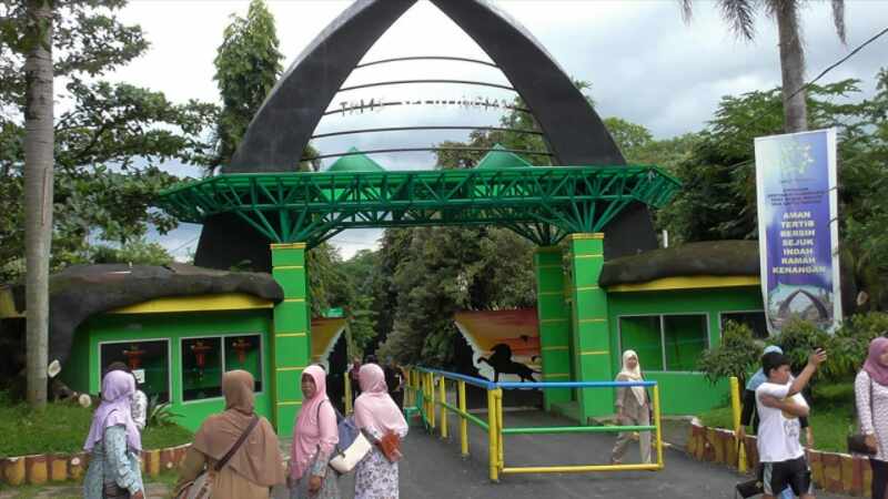 Kawasan Dieng Makin Ramai Sejak Ada Kebun Binatang