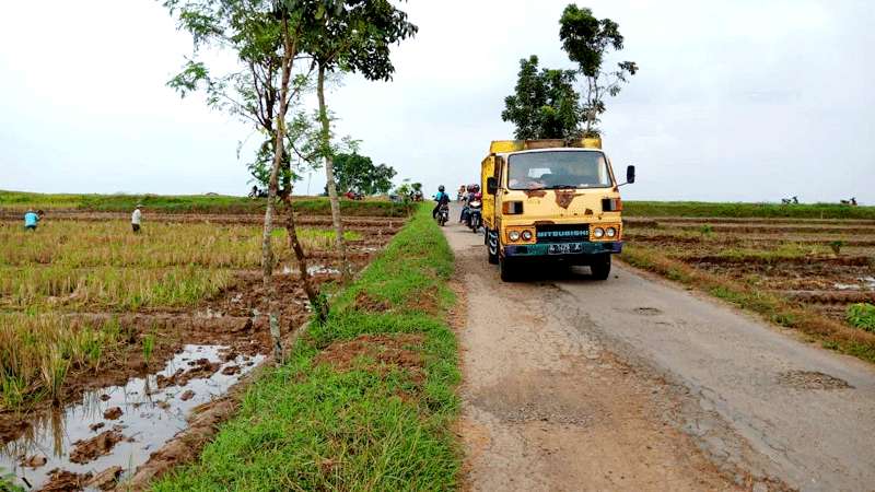 Jalan Cilapar-Selanegara Rusak Parah