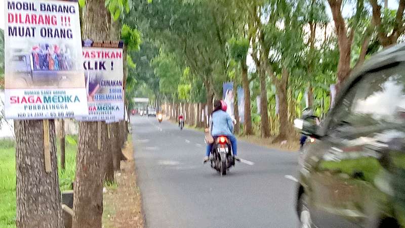 Sepanjang Jalan Bojanegara-Padamara Marak Reklame Dipaku di Pohon