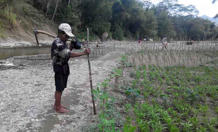 Kekeringan, Mengadu Nasib di Sungai