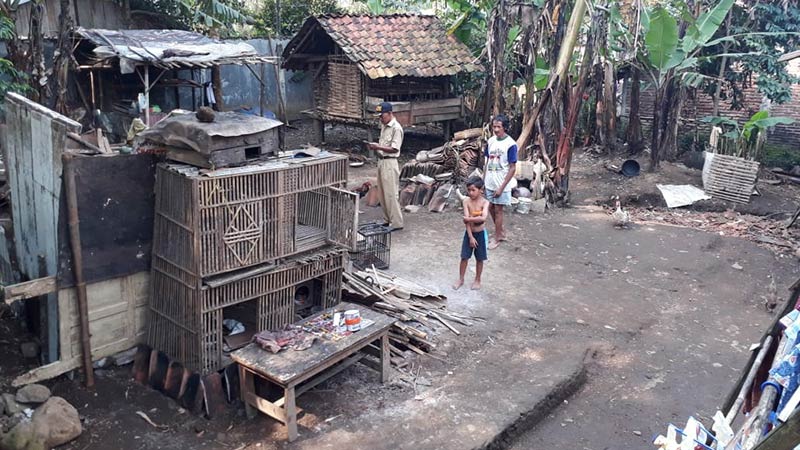 Angin Kencang Robohkan Rumah Warga Pekuncen