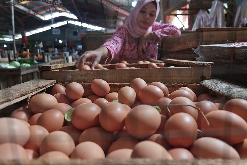 Harga Telur Ayam Capai Rp 29 Ribu