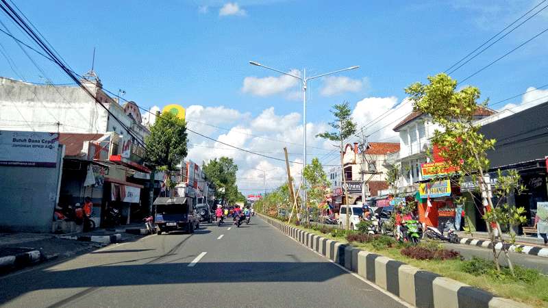 Untuk Median Jalan di Kabupaten Purbalingga, Jangan Asal Pilih Tanaman