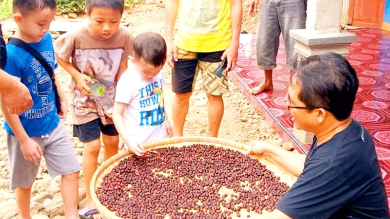 Kopi Turiman, Kualitas Terbaik di Kebumen