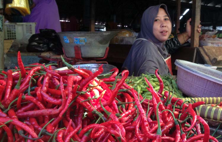 Harga Cabai Merah Mulai Naik