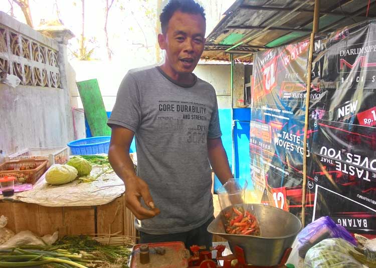 Cabai Rawit Terus Turun