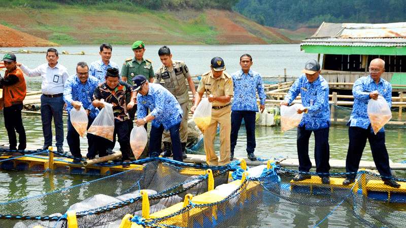 Desa Sempor Ditetapkan jadi Kampung Nila