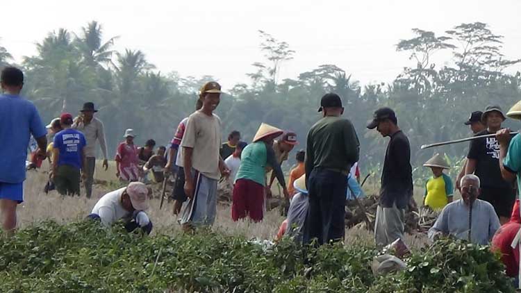 Biaya Angkut Mahal, Petani Wangon Buat Jalan