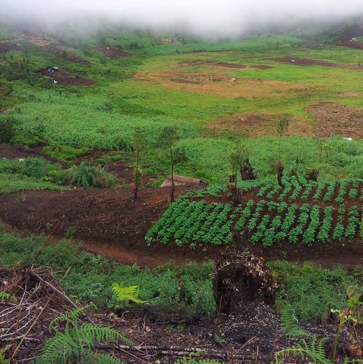 Petani Harus Tinggalkan Blok terbis