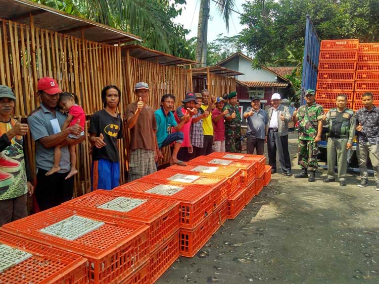 TNI Bantu Distribusikan Ayam Bantuan