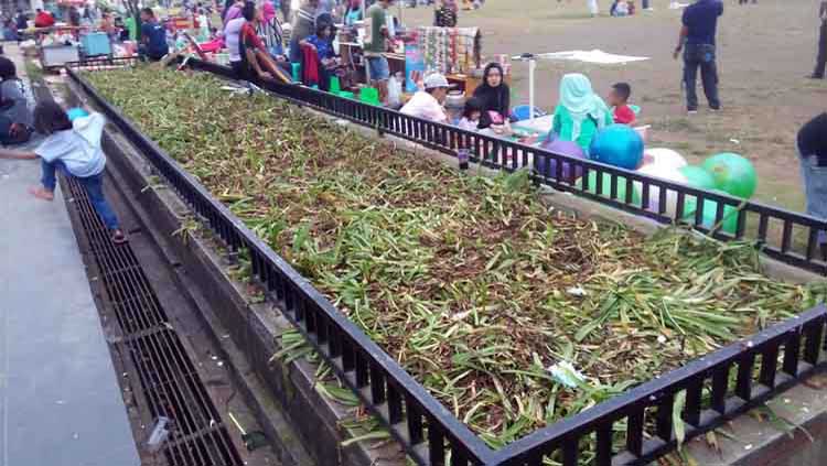 Tanaman Hias Alun-Alun Rusak