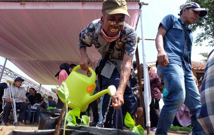 Penyandang Disabilitas Juga Bisa Bercocok Tanam