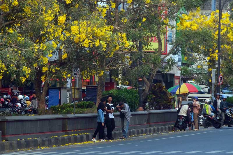 Tahun Baru, Berikut Ruas Jalan Yang Akan Ditutup Dikota Purwokerto, Alun-Alun Banyumas, dan Jalur Lokawisata B