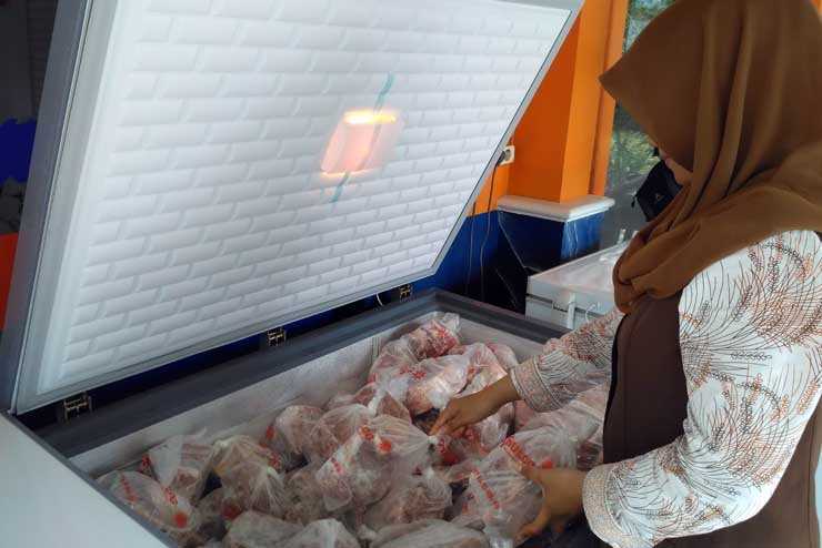 Bulog Miliki 5 ton Pasokan Daging Kerbau