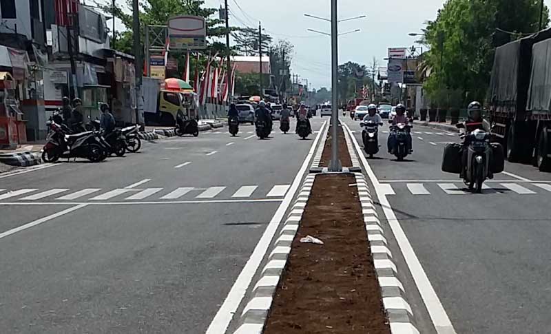 Taman Median Tunggu Plt Bupati Pilih Tanaman Favoritnya