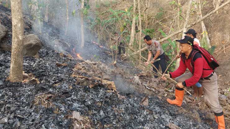 5 Hektar Kebun Rakyat Terbakar
