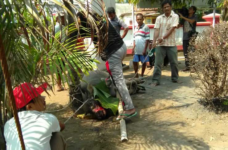 Warga Pengalang Adakan Sedekah Bumi