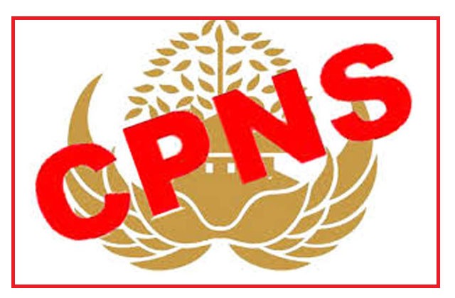 450 Pendaftar CPNS Tidak Memenuhi Syarat