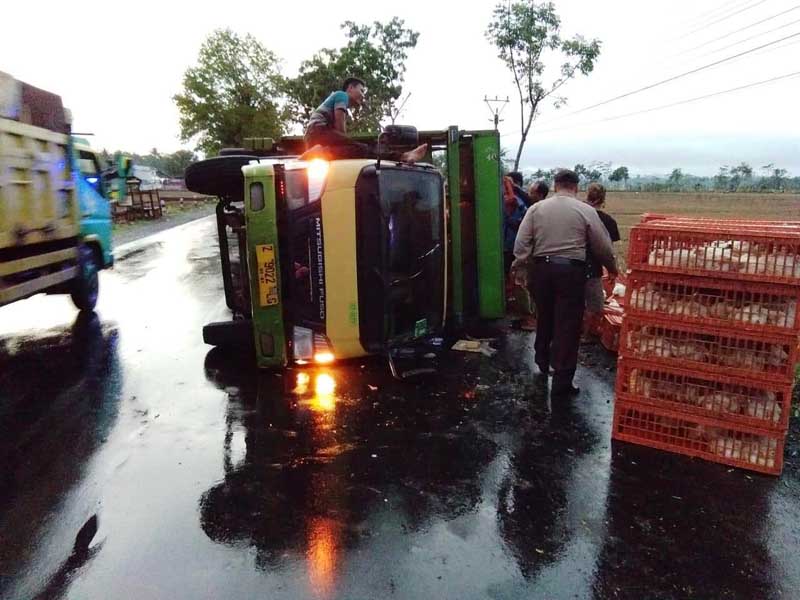 Ban Selip, Truk Pengangkut Ayam Terguling