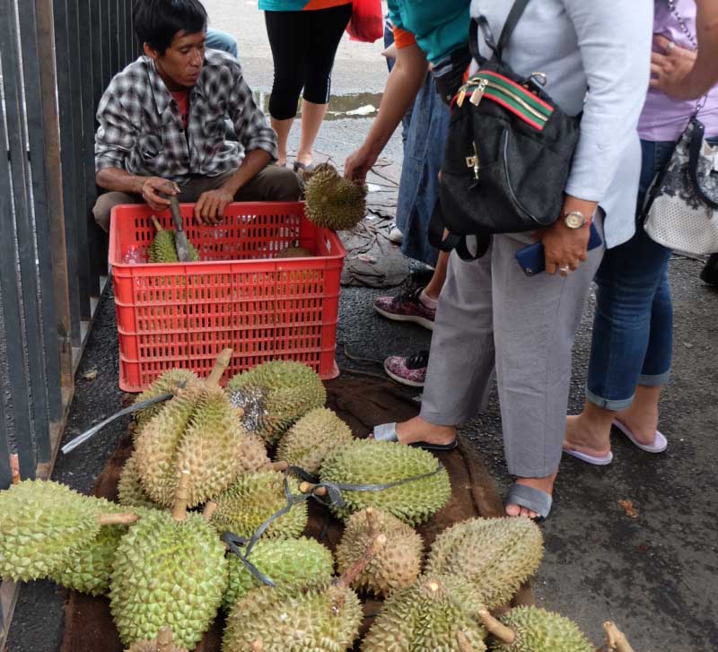 Durian Togog Varietas Lokal Unggulan