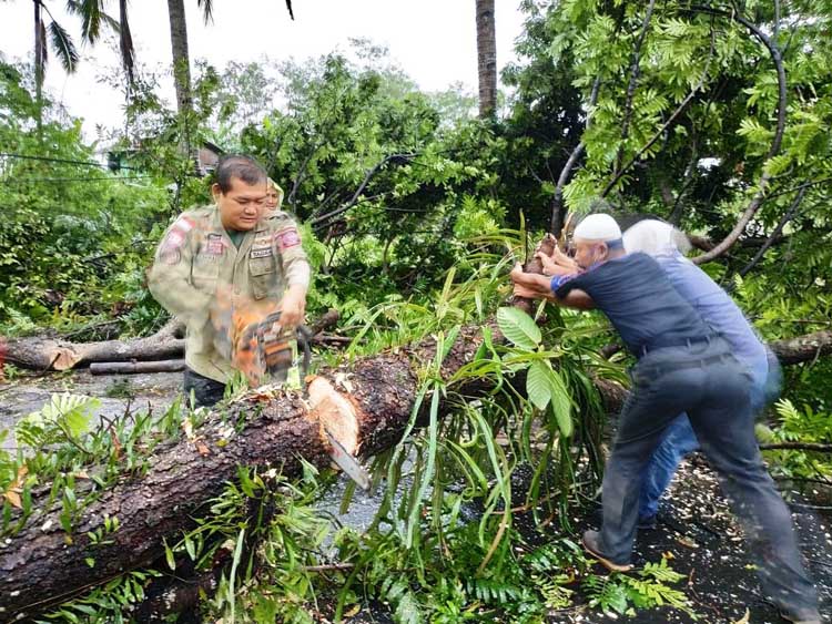 Penebangan Pohon Utamakan Aduan Masyarakat