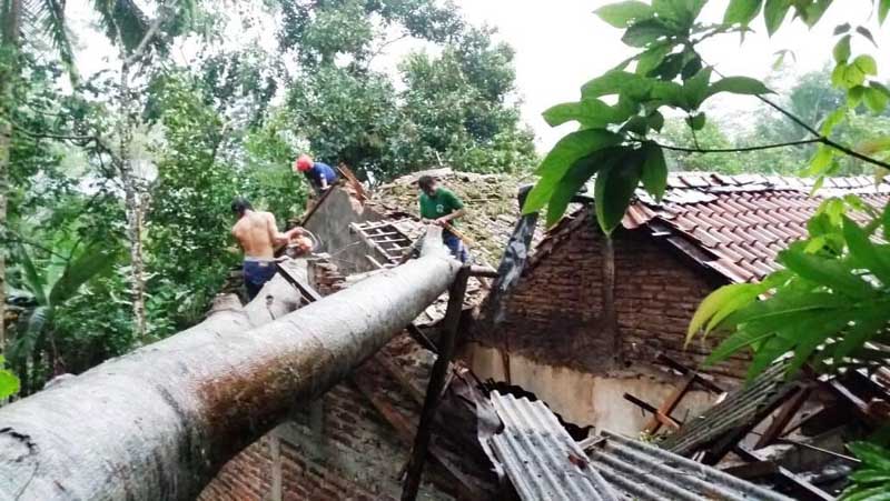 Pohon Tumbang Timpa Rumah Warga 3752